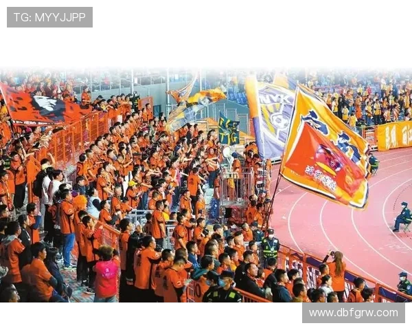 足球赛事中的球迷文化与氛围建设